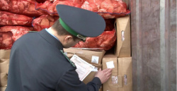 Сотрудники Россельхознадзора в Новокузнецке изъяли 25 кг продукции животного происхождения без маркировок