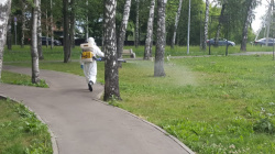 В парках и скверах Киселевска проводится акарицидная обработка территорий