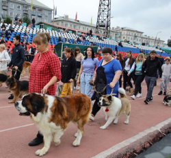 В Прокопьевске состоялась Международная сертификатная выставка собак  на Кубок Главы города 