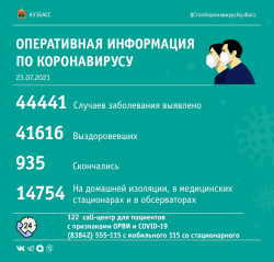 За прошедшие сутки в Кузбассе выявлено 195 случаев заражения коронавирусной инфекцией: 10  - в Киселевске