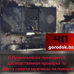 В надворной постройке частного дома в Прокопьевске после пожара обнаружено тело мужчины