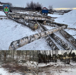 Комплексный план декриминализации сферы экологии и природопользования в действии 