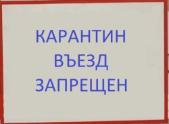 В Гурьевском районе Кемеровской области-Кузбассе выявлен вирус африканской чумы свиней