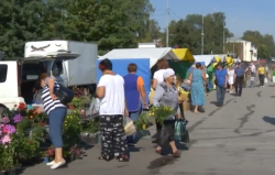 В преддверии Дня Шахтера пройдет традиционная сельскохозяйственная ярмарка