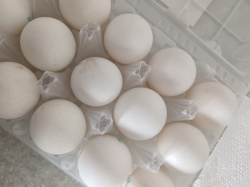 Под контролем Сибирского межрегионального управления Россельхознадзора в Монголию отгружено более 13 млн куриных пищевых яиц