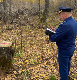 По материалам прокурорской проверки  возбуждено уголовное дело о незаконной рубке лесных насаждений