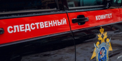 Жителя города Междуреченска будут судить за применение насилия к сотрудникам полиции