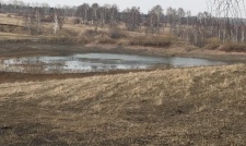 Золотой ключ - был водоем, а теперь болото! Для чего спустили воду?!