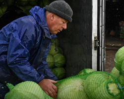 Правительство РФ выделило 927 млн на компенсации сельхозпроизводителям, потерявшим урожай из-за метеоусловий