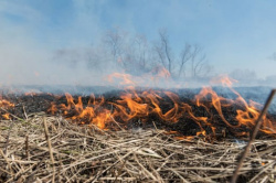 В Киселевске с начала действия особого противопожарного режима зафиксировано три очага возгорания сухой травы