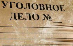 Горе-матери из Киселевска грозит уголовный срок за применение насилия в отношении инспектора ПДН 