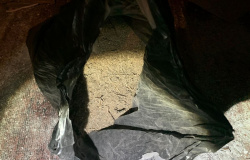 Полицейские обнаружили в доме у киселевчанина более 1 кг марихуаны