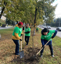 Около 800 тысяч молодых деревьев появится в Кузбассе в рамках экологических акций