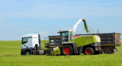 Илья Середюк рассказал о рекордных урожаях в Кузбассе Илья Середюк рассказал о рекордных урожаях в Кузбассе