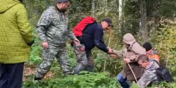 В Кузбассе найдена 72-летняя пенсионерка, заблудившаяся в лесу во время сбора грибов (ВИДЕО)