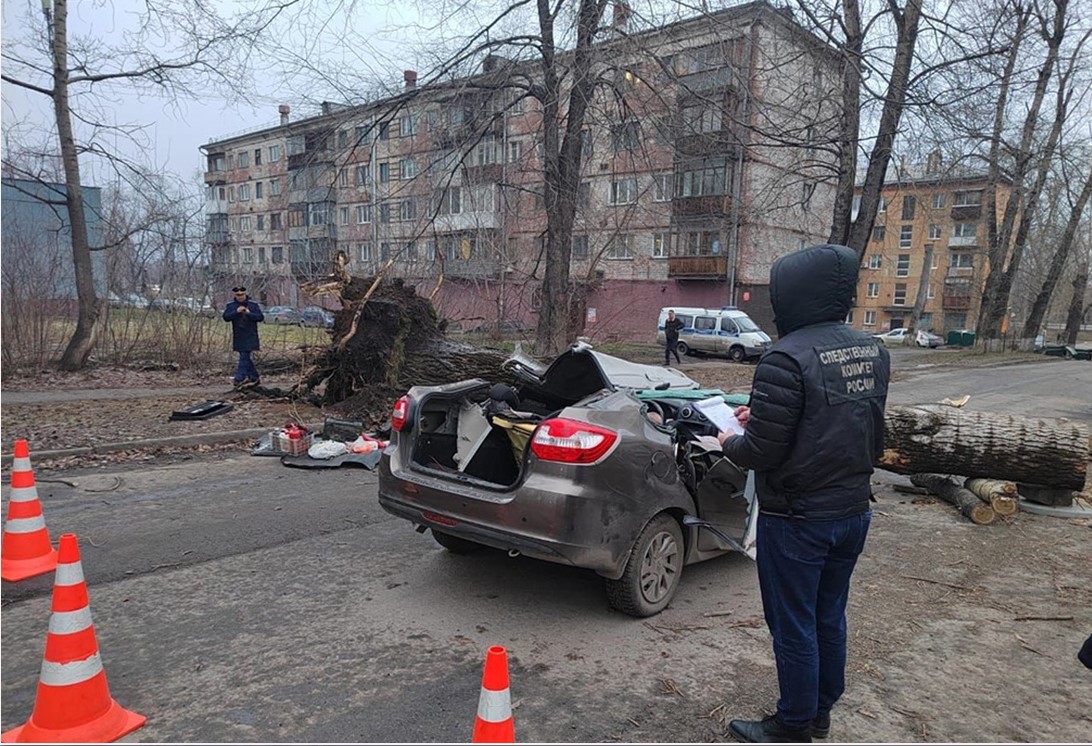 В Кемеровской области – Кузбассе возбуждено уголовное дело по факту смерти двух жителей города Новокузнецка, наступившей в результате падения дерева
