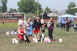 В Киселевске прошла выставка породистых собак «Кузбасские звезды-2023» 