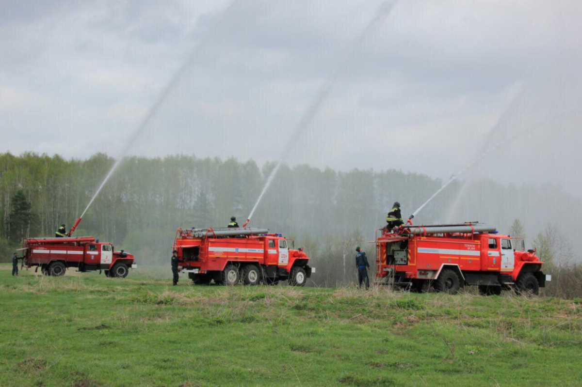 120 млн рублей выделено на обеспечение пожарной безопасности в лесах  Кузбасса