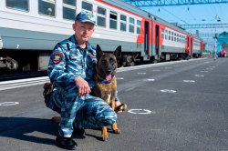 21 июня кинологические подразделения органов внутренних дел Российской Федерации отметят 115-й юбилей