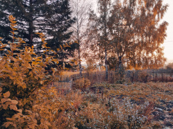 Коротко о погоде в Кузбассе на неделю (ФОТО)