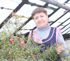Работа как кругосветный круиз: Светлана Руднева – озеленитель тепличного хозяйства