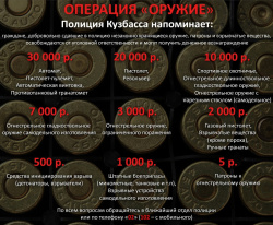 В Киселевске будут судить местную жительницу за незаконное хранение около 1700 патронов