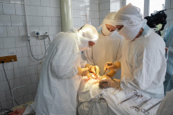 Уникальные технологии по пересадке печени освоили в южной агломерации Кузбасса