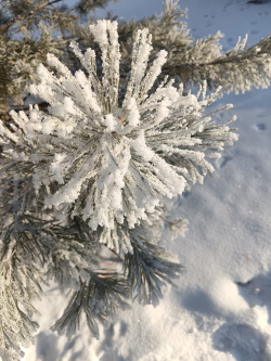 УГОЧС города Киселевска рекомендует гражданам соблюдать меры предосторожности в период морозов