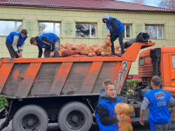 В Кузбассе 9 326 семей получили бесплатные овощные наборы