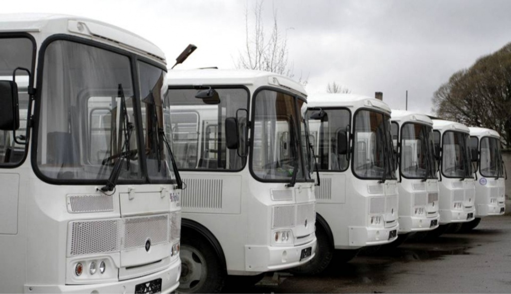 Новые автобусы паз картинки