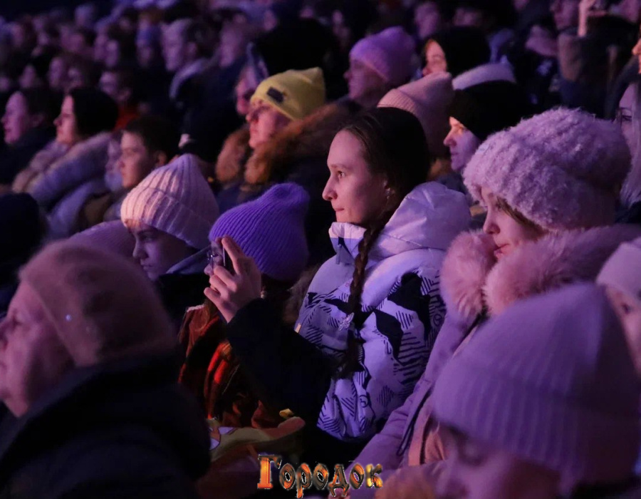 Представление в ледовом дворце