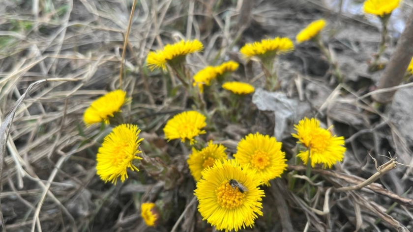 Фото из архива редакции