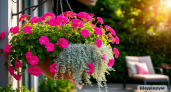 Не петунией единой: 3 шикарных растения, которые превратят кашпо в цветущий водопад на зависть всем соседям