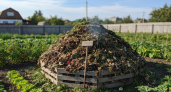 Компост проснулся: как в апреле превратить кучу отходов в “черное золото” для огорода