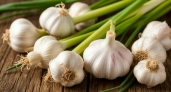 Первая подкормка чеснока этой весной: как получить самые крупные головки