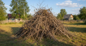 Ветки от деревьев не сжигаем и не выбрасываем: применяем в огороде — 3 лайфхака для дров, мульчи и тёплых грядок