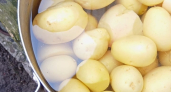 Забудьте про молоко и масло: в картофельное пюре кладу 1 штуку - бабуля из деревни подсказала рецепт