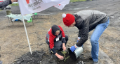 В Киселевске высадили 600 деревьев на рекультивированных землях