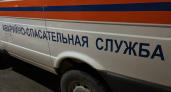 В Кемеровской области спасатели вызволили собаку из старого морозильника