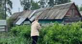 1 ложка на ведро воды — и почва оживёт: натуральное средство укрепляет корни, оздоравливает грядки и повышает плодородие почвы