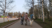 Психология людей, которые не жалуют гостей у себя дома 