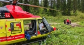 В Кемеровской области рыбак пострадал при встрече с медведицей 
