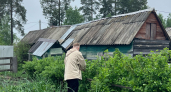 Как обработать почву после больных томатов и картофеля: рабочая схема против фитофторы без «убойной» химии 
