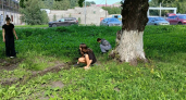 Школьники Киселевска облагородили территорию МФЦ 