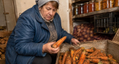 Морковь не лежала долго, хорошо подсказала старая работница колхоза — теперь проблем не знаю