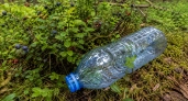Пластиковую бутылку не выбрасываю — надеваю на руку и собираю ягоды: простая находка для дачников