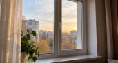3 капли добавляю при мытье окон — и стекло сияет: ни мутности, ни разводов 