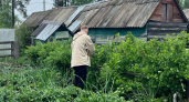 Посеял в октябре — весной собираю раннюю зелень и овощи: 5 холодостойких культур для подзимних грядок 