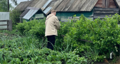 Урожай уже в апреле: как правильно заложить тёплую грядку осенью — простая схема по слоям 