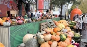 В Кемеровской области установили рекорд России, сварив 200 литров супа из тыквы